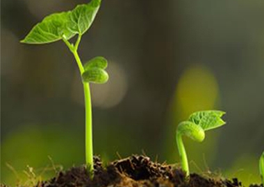 土壤修复 土壤修复